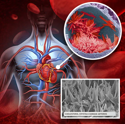 CardioC2 Heart Health Supplement Image